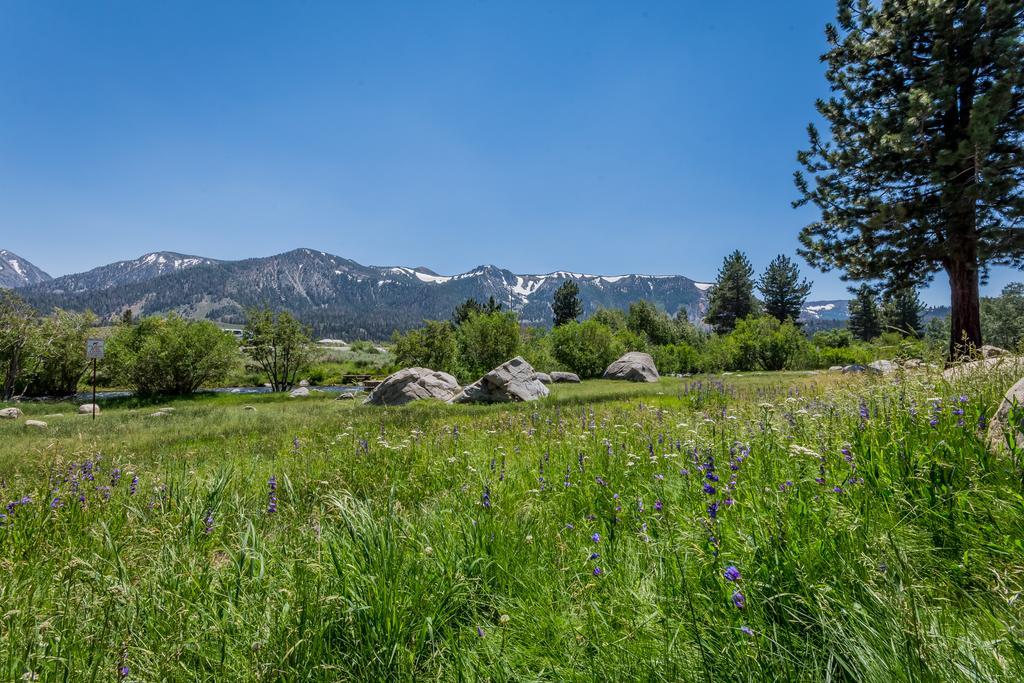Mammoth Creek Condos Mammoth Lakes Kültér fotó